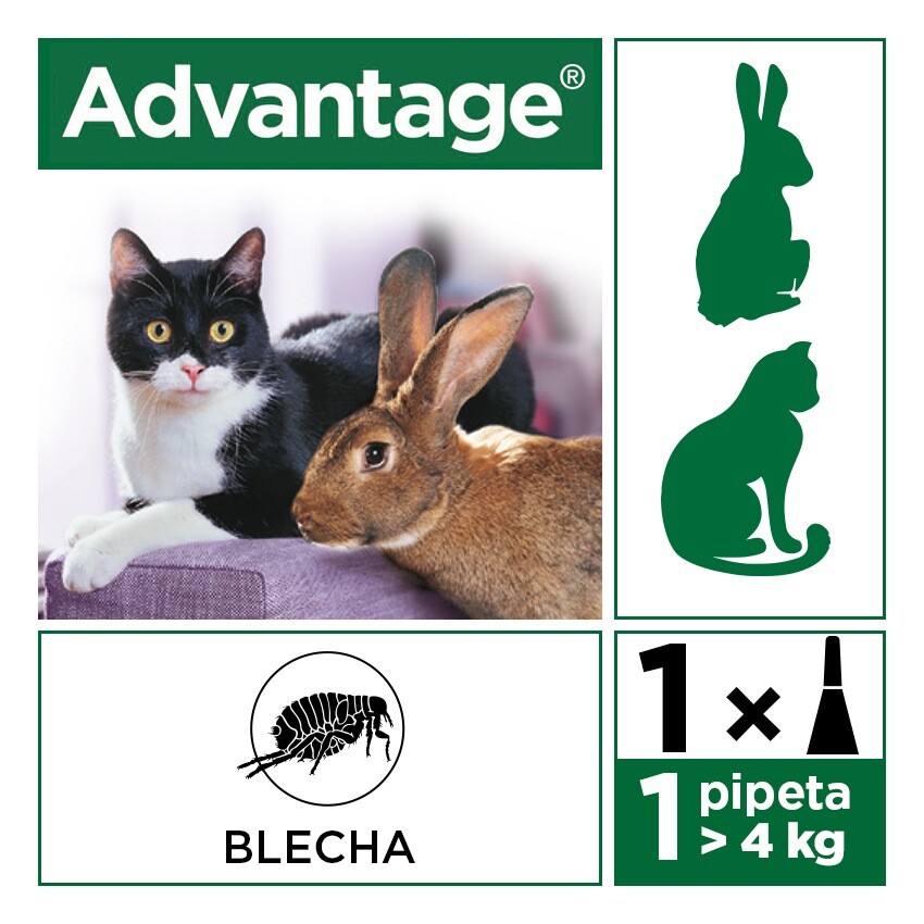 Levně Advantage 80mg velké kočky a králíci spot-on 4x0.8ml